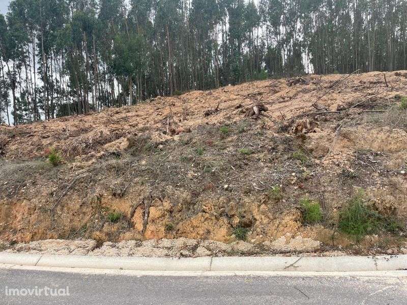 Terreno para construção - Aldeia do Mato e Souto ( vendo ou permuto) - Grande imagem: 4/12
