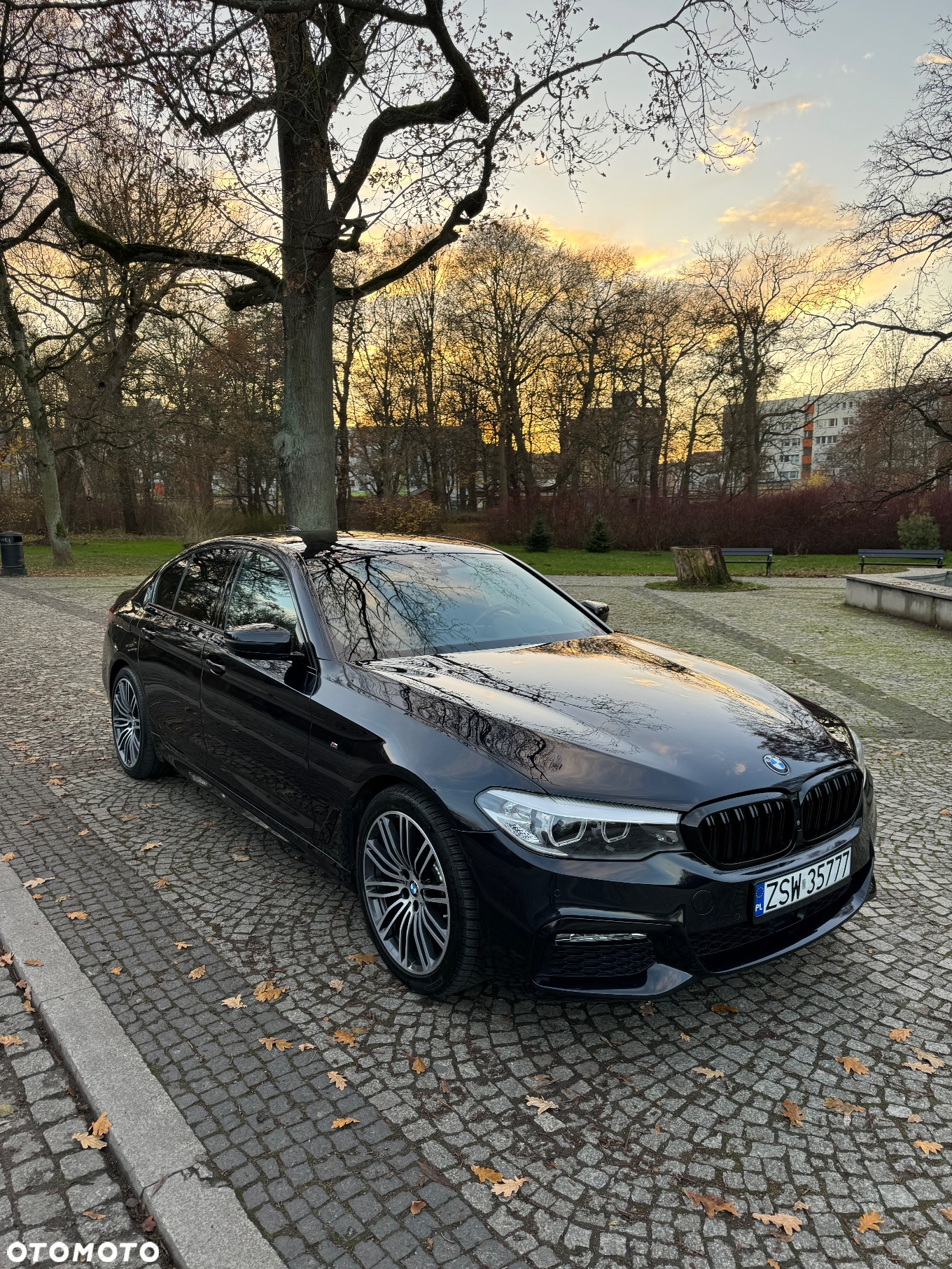 BMW Seria 5 520d Efficient Dynamics M Sport sport - 3