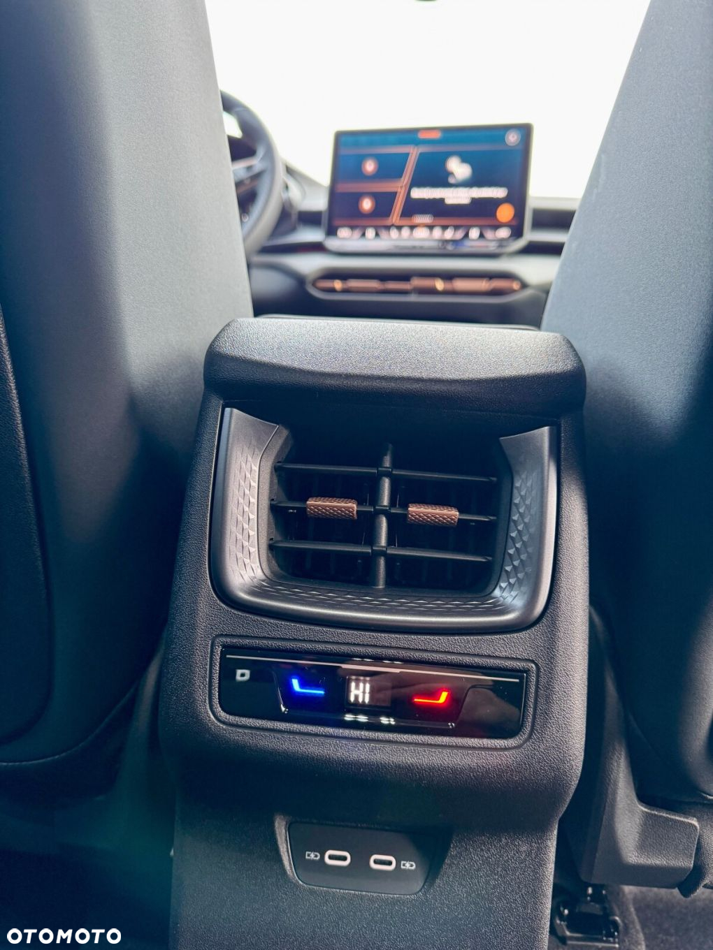 Cupra Terramar - 24