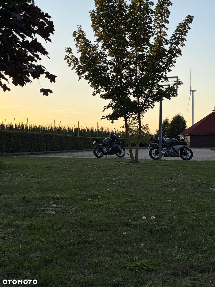 Yamaha YZF - 19