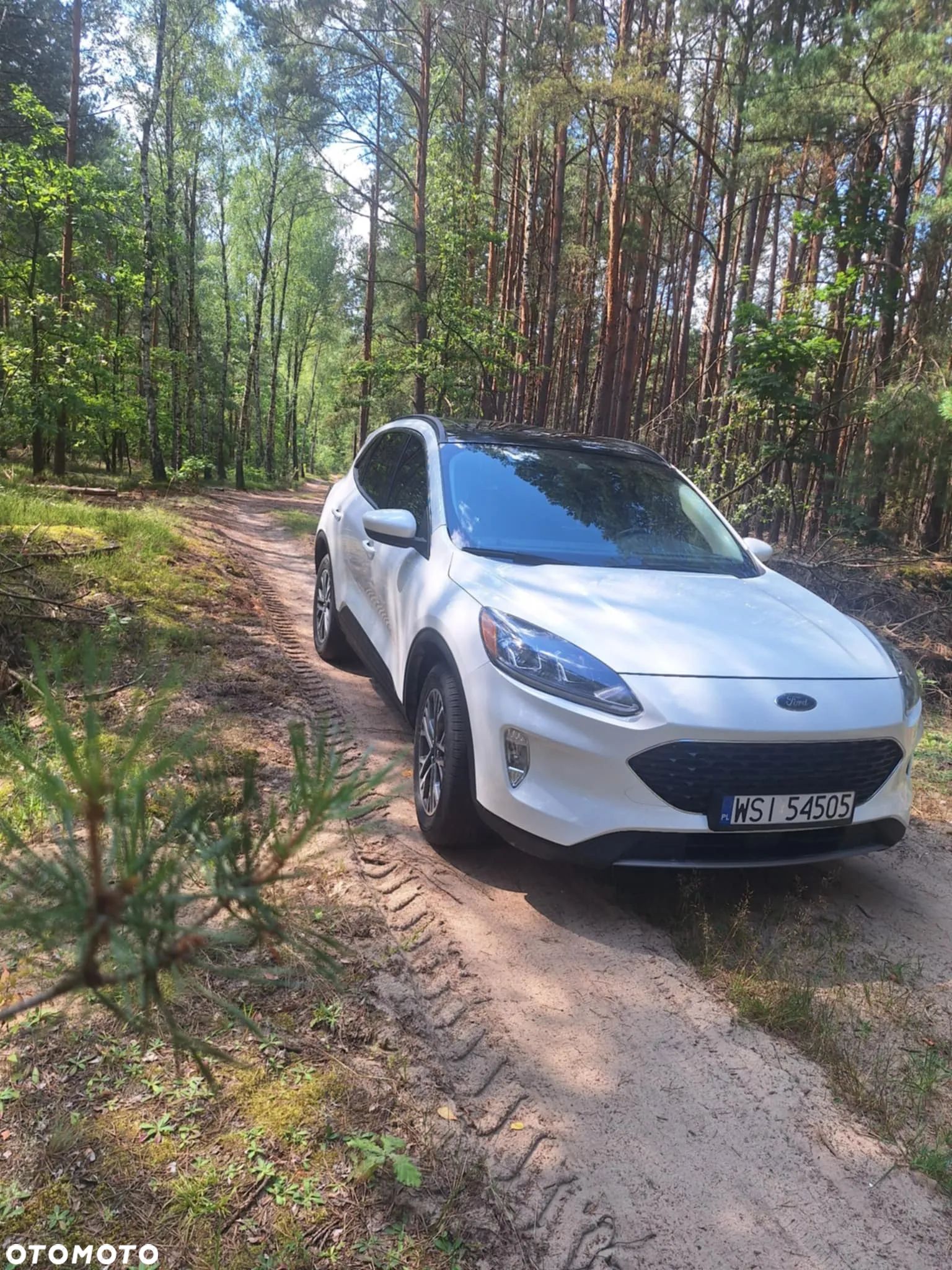 Ford Escape 2.0 EcoBoost AWD Titanium - 1