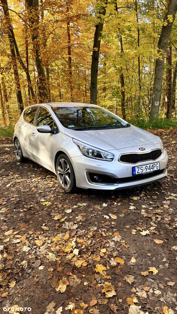 Kia Ceed - 23