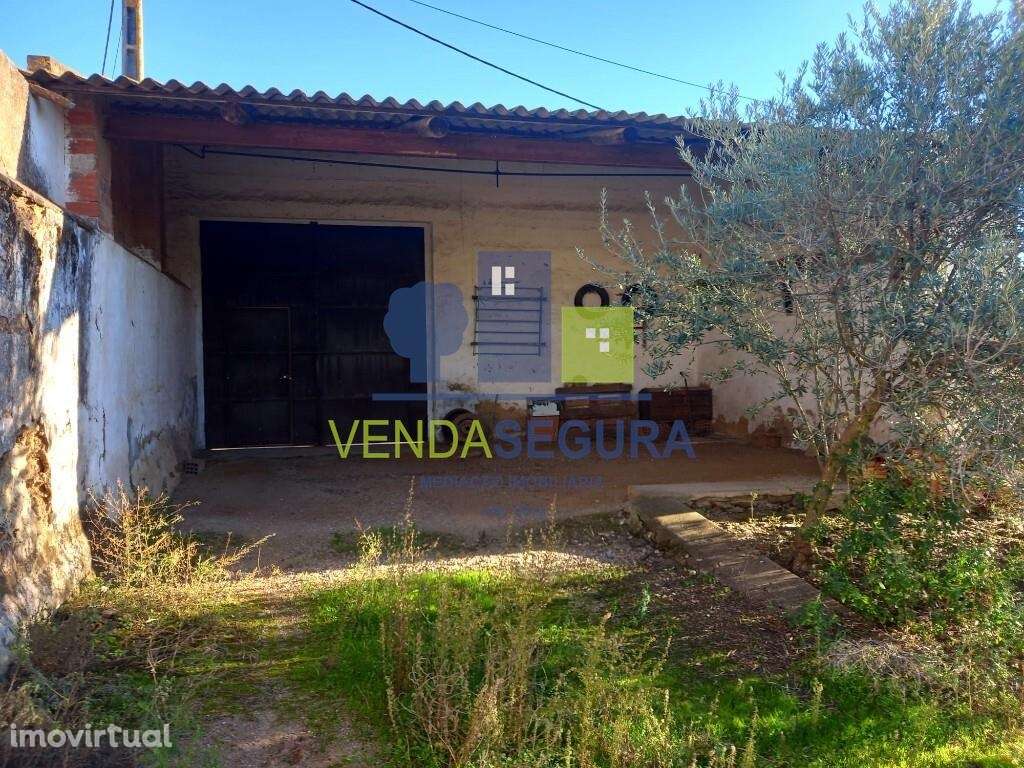 Armazém com quintal | Safara - Grande imagem: 3/11