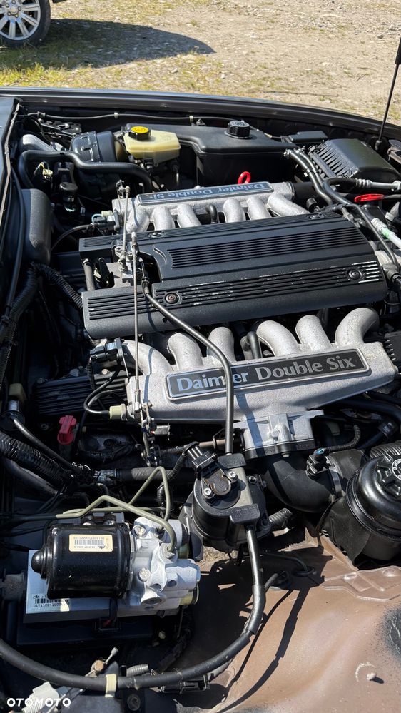 Jaguar Daimler Double Six - 15
