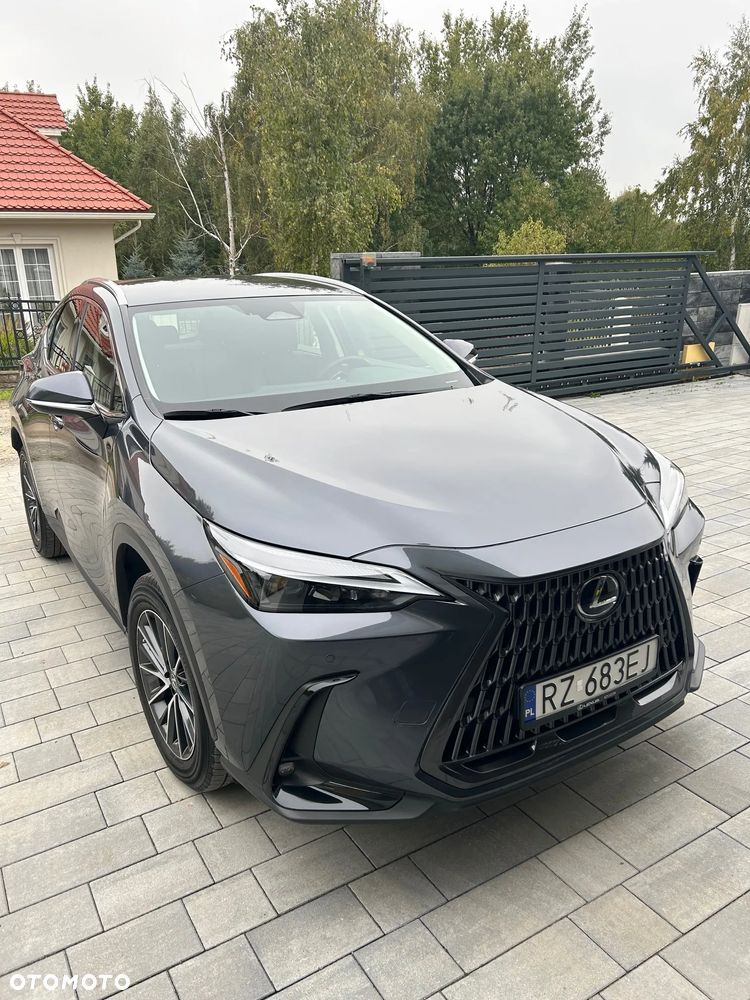 Lexus NX 350h Business AWD - 3