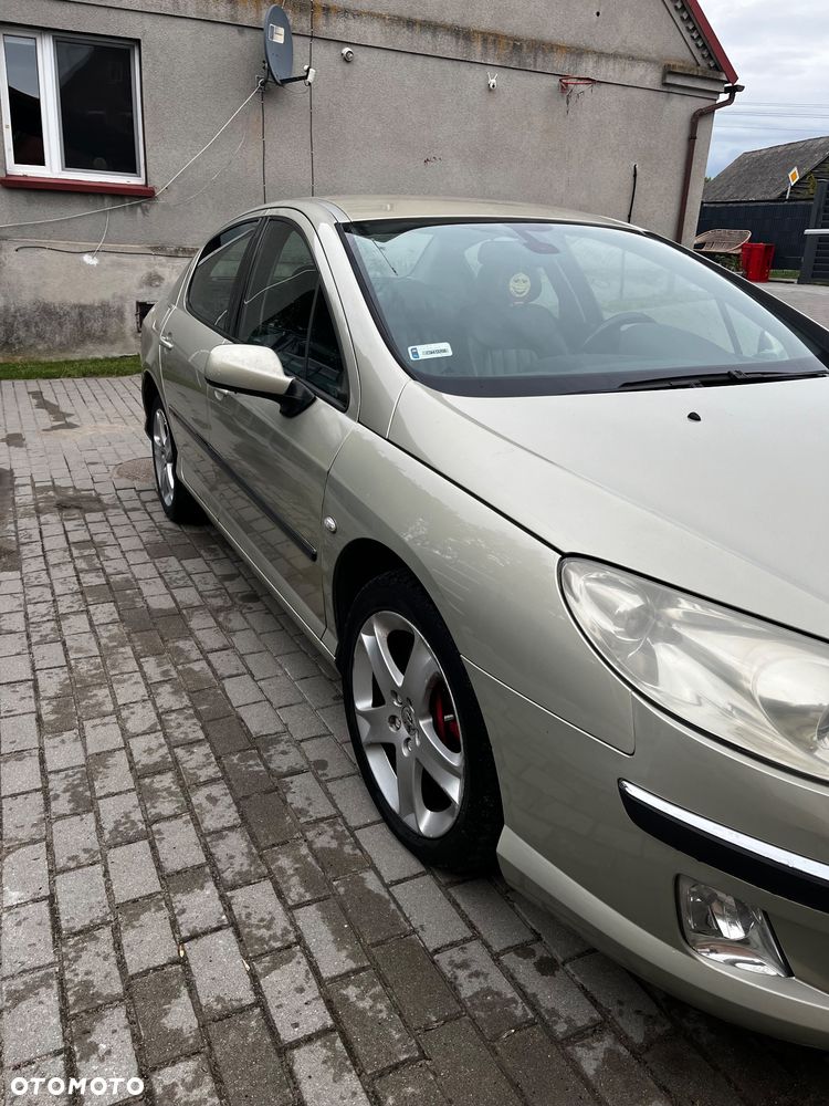 Peugeot 407 - 6