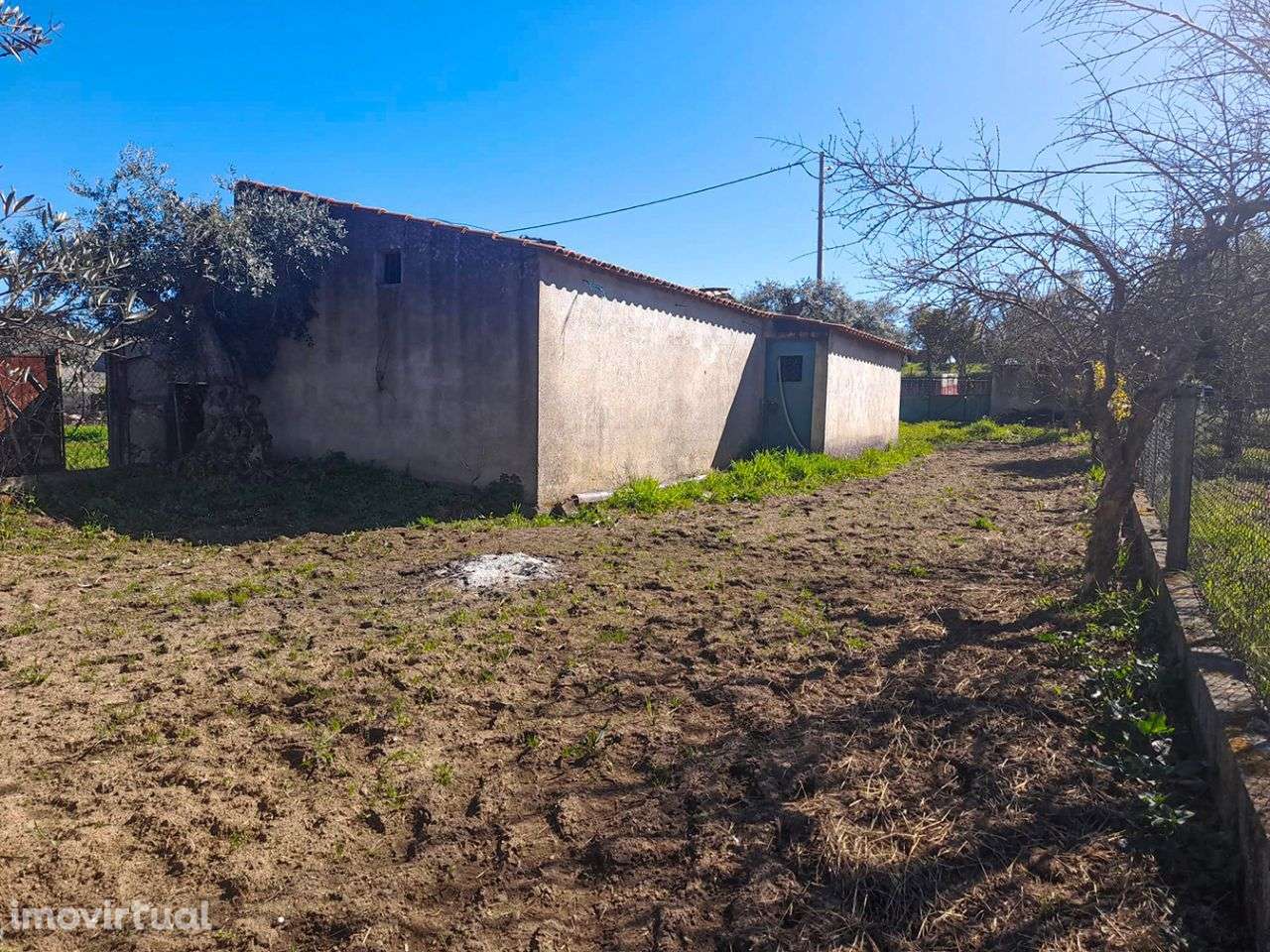 Quintinha - Grande imagem: 2/8