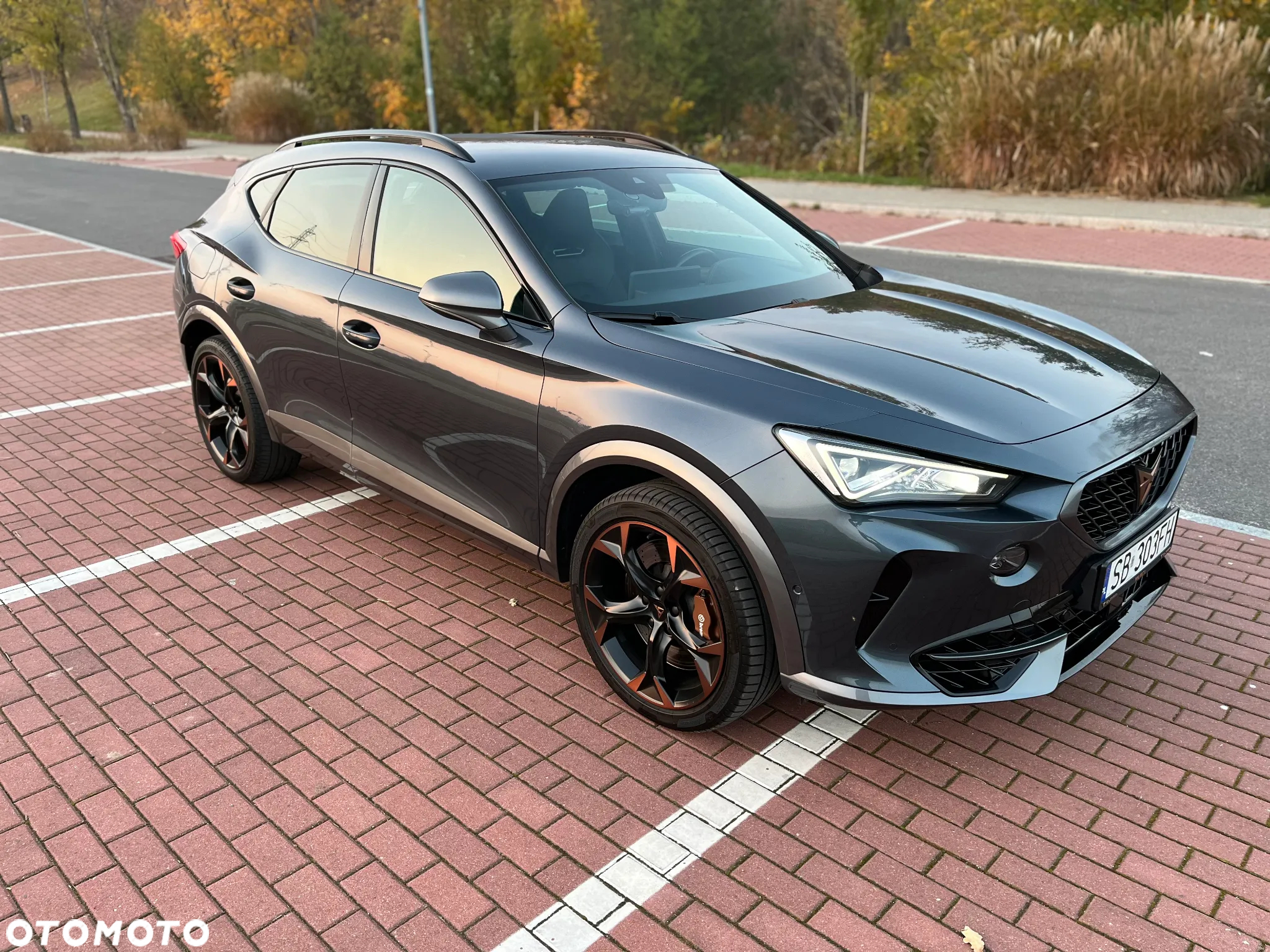 Cupra Formentor 2.0 TSI 4Drive VZ DSG - 4