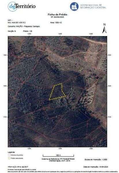 Terrenos em Mação/Cardigos  ( 3 propriedades) 1€ M2 c/Eucalipto 7 anos - Grande imagem: 4/4