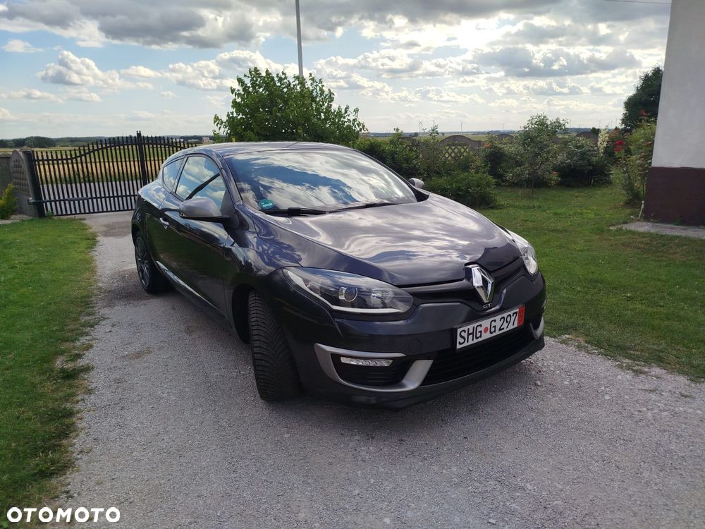 Renault Megane 220 GT EU6 - 11
