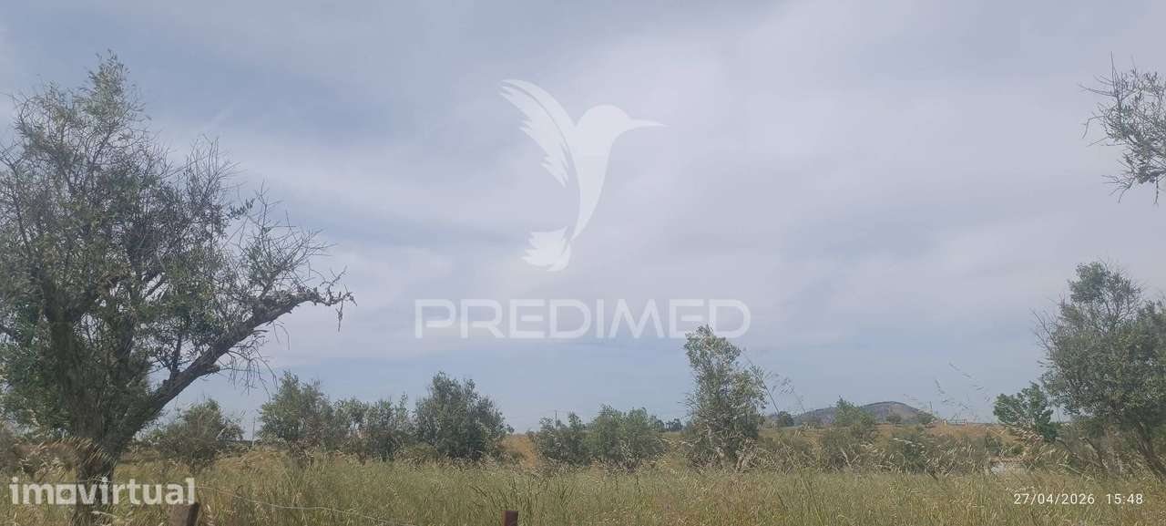 Excelente oportunidade para quem procura um refúgio no campo ou um... - Grande imagem: 2/5