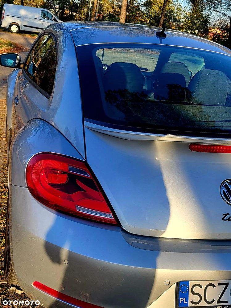 Volkswagen Beetle - 12