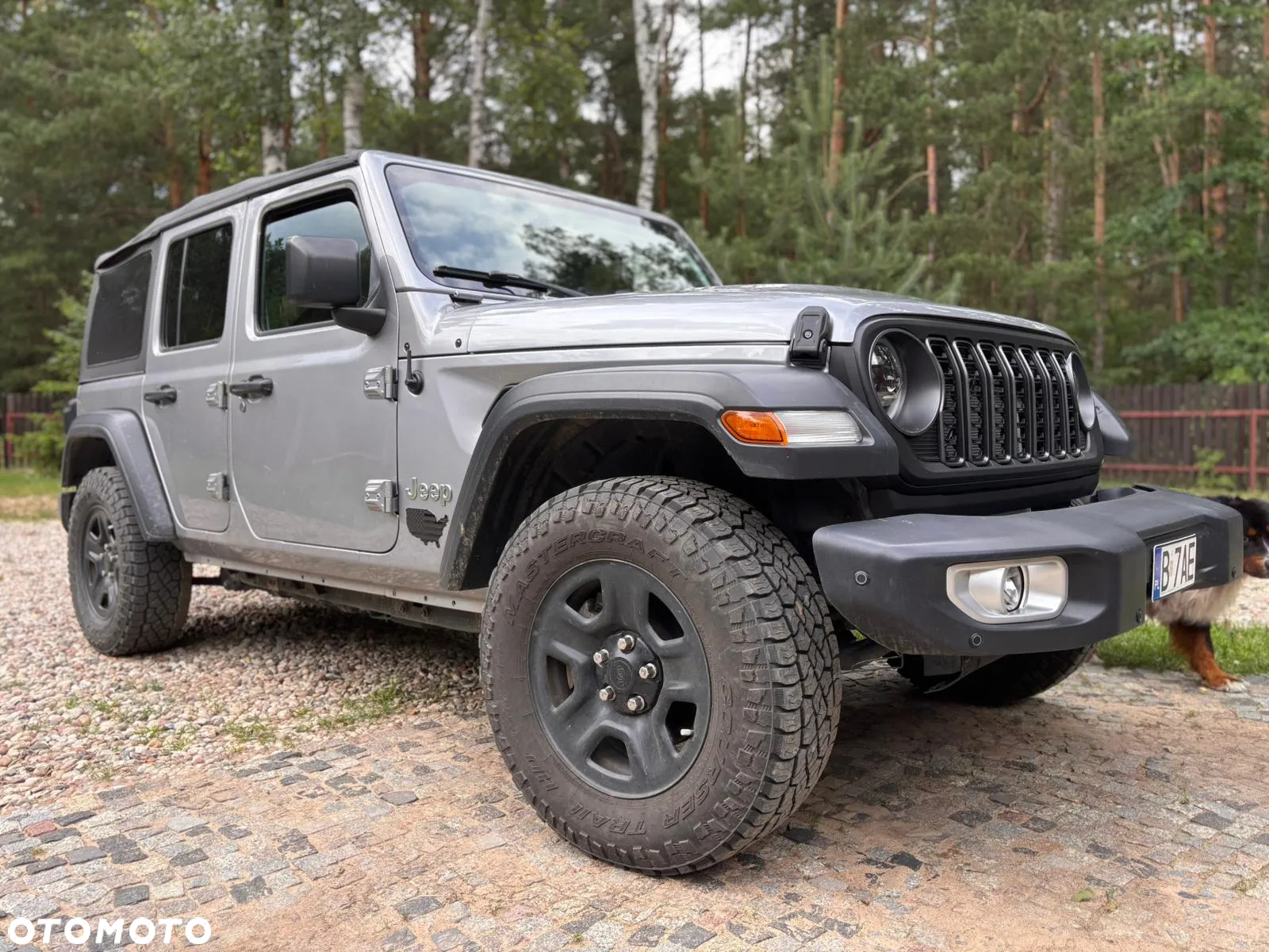 Jeep Wrangler - 15