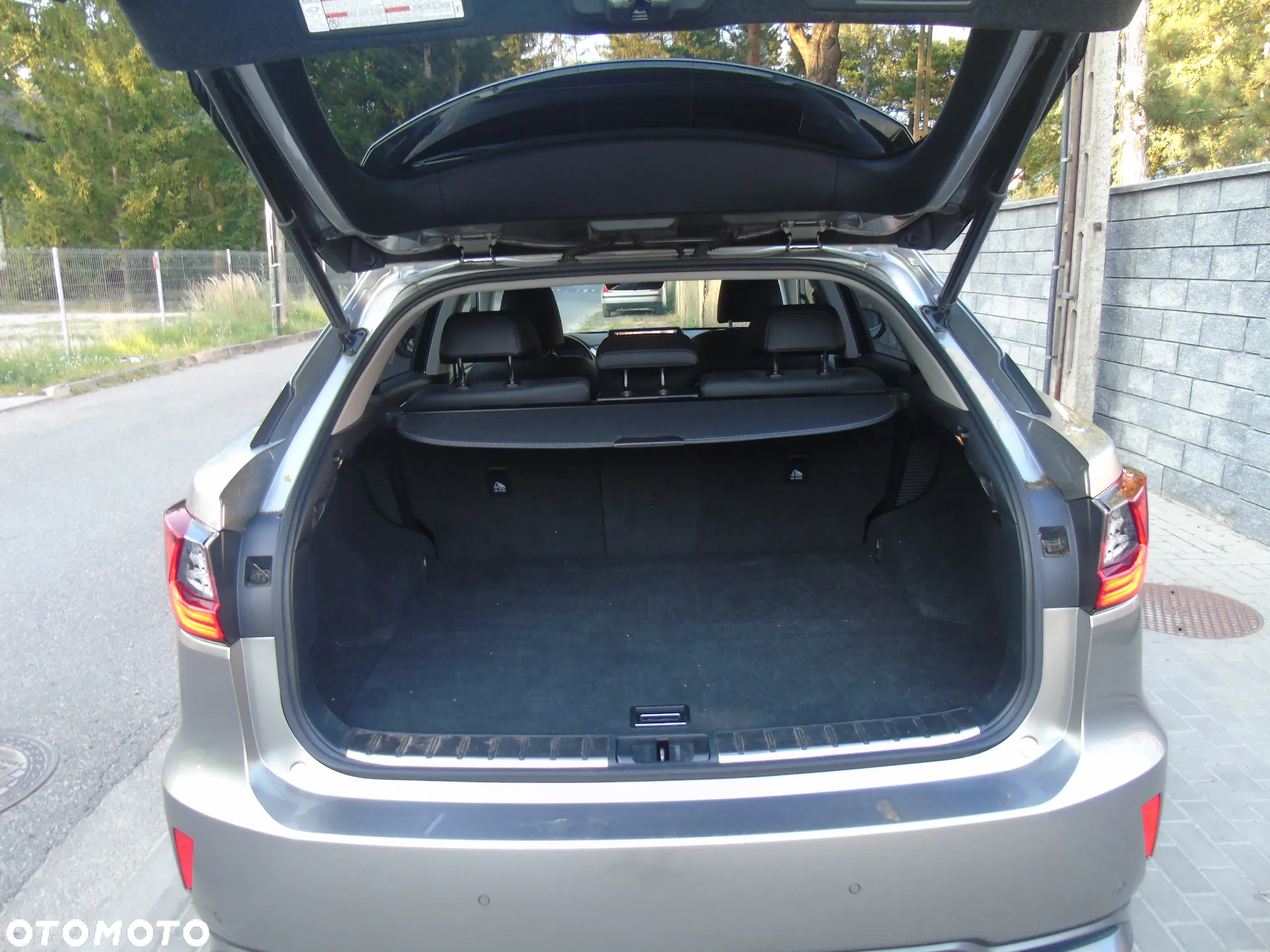 Lexus RX 450h Elegance - 15