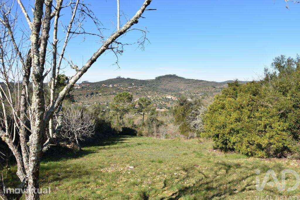 Terreno em Chãos de 2000,00 m2 - Grande imagem: 3/27