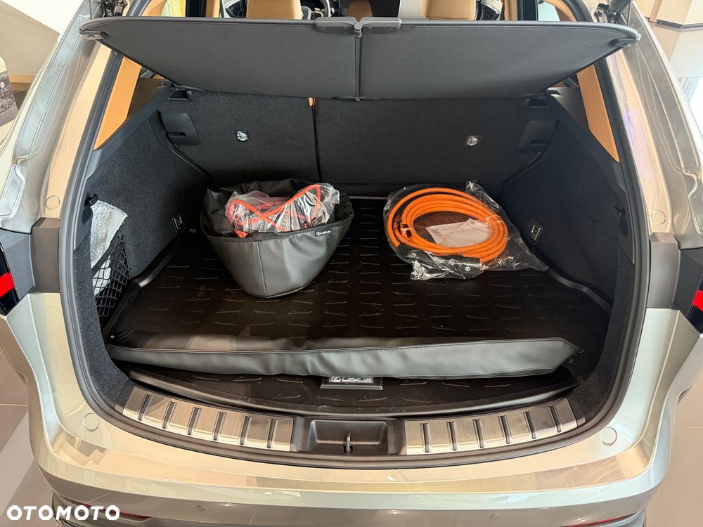 Lexus NX - 6