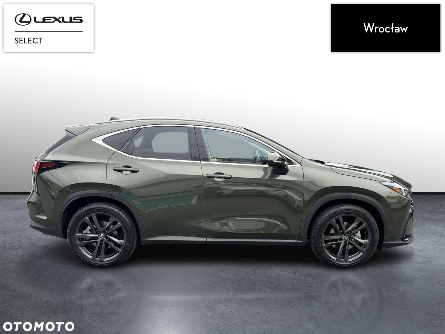 Lexus NX - 6