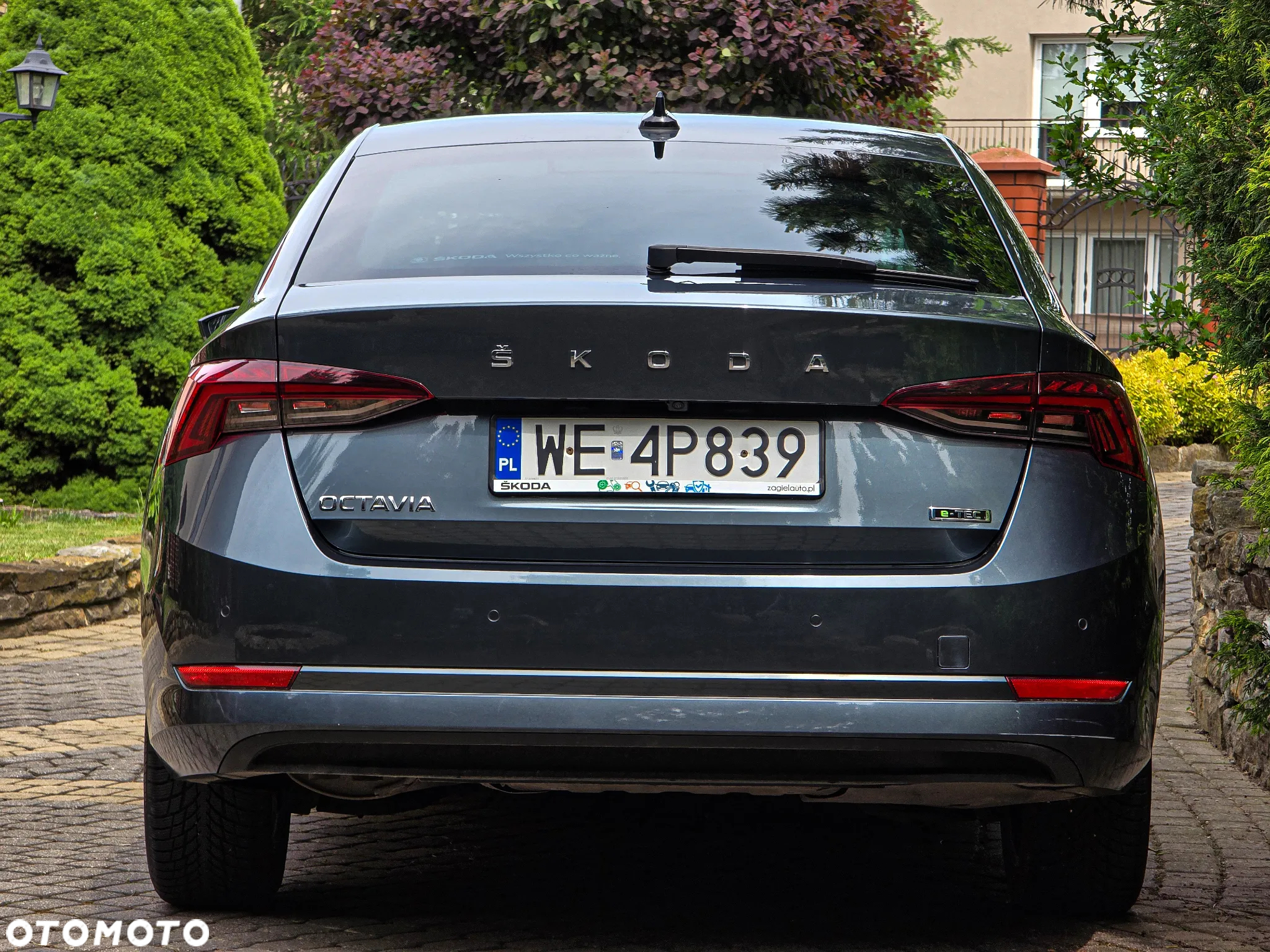 Skoda Octavia 1.5 TSI GPF ACT Ambition DSG - 5