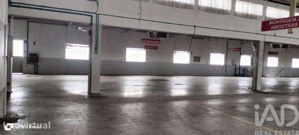 Hangar em Escapães de 3300,00 m2 - Grande imagem: 3/30