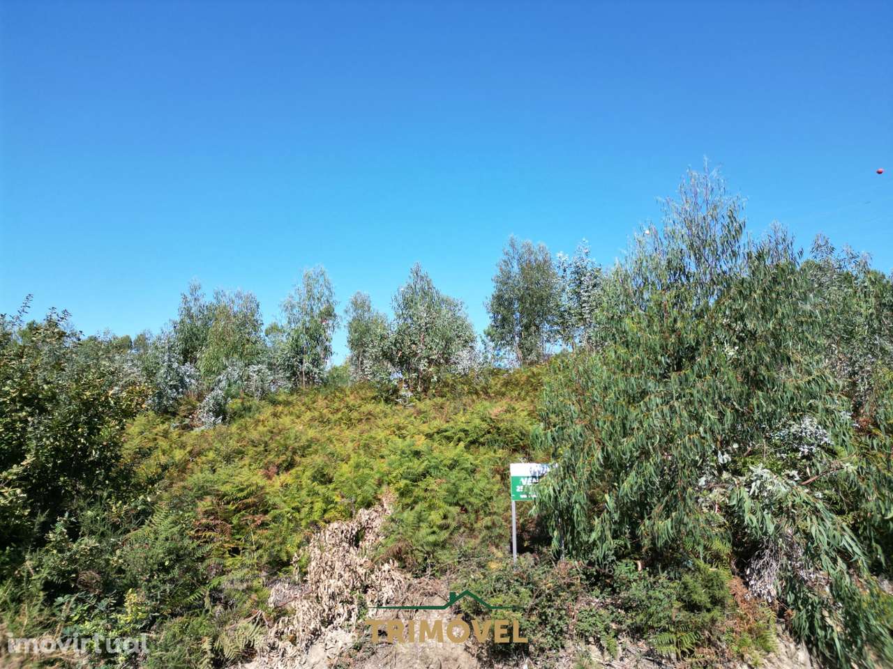 Terreno para construção - Nogueira do Cravo - Grande imagem: 4/14