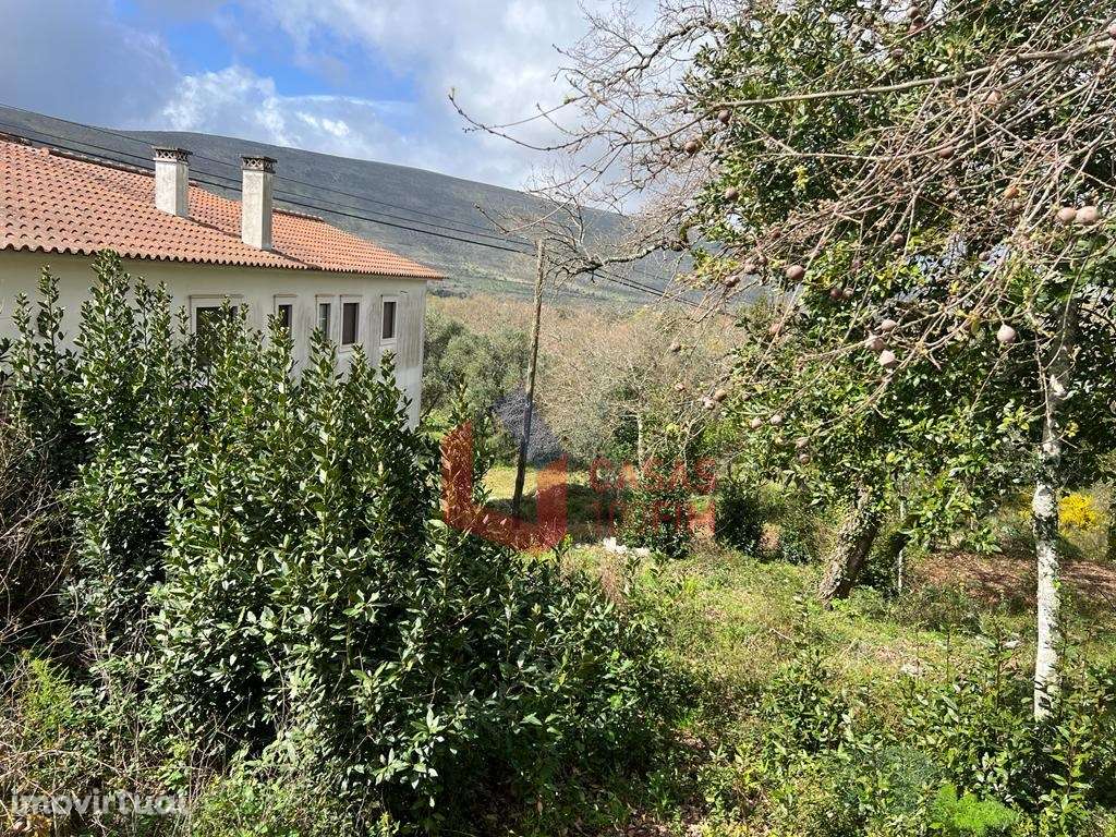 Terreno urbano com 1.700m2 em Alvados, Porto de Mós - Grande imagem: 3/3