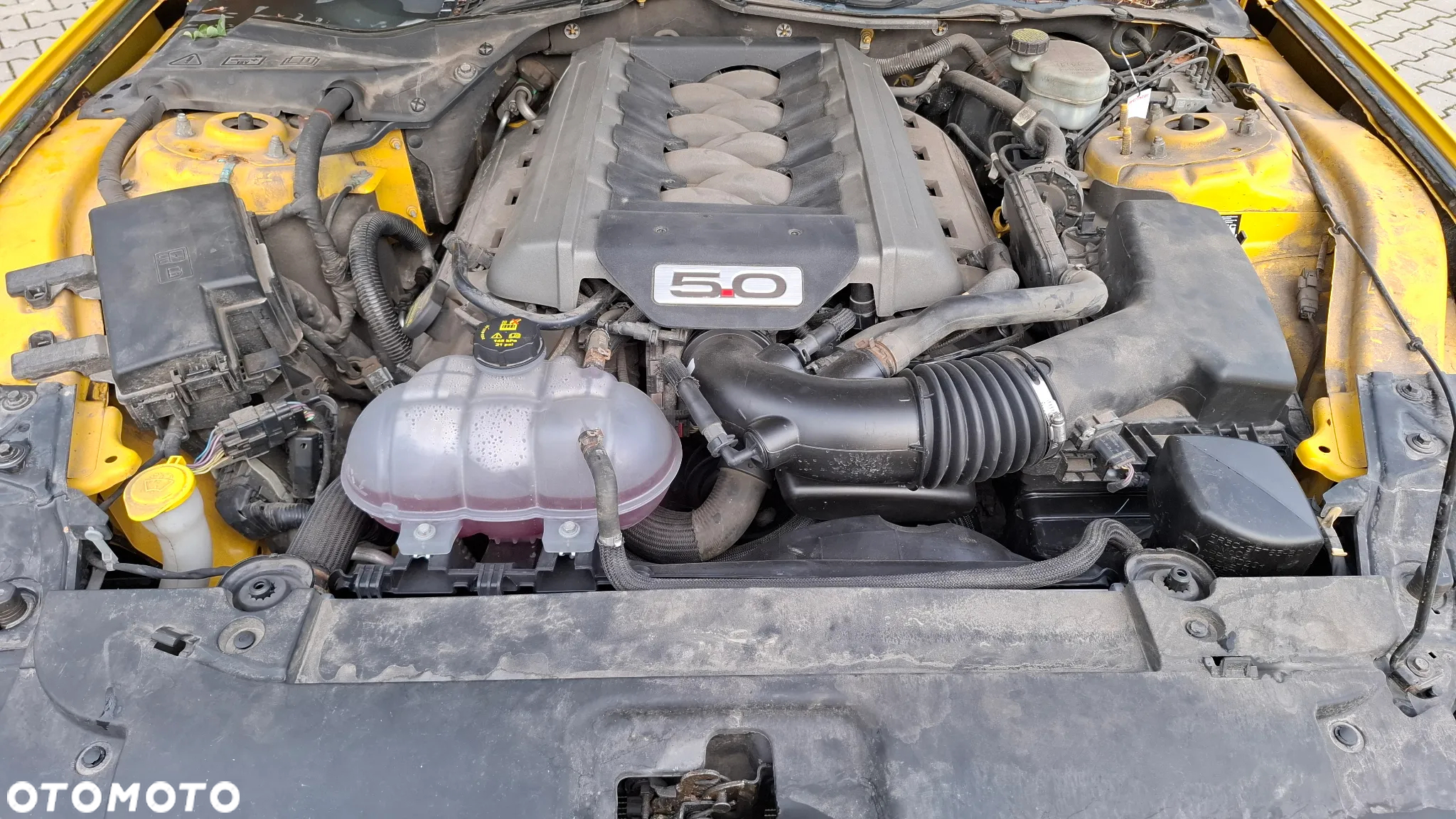 Ford Mustang 5.0 Ti-VCT V8 GT - 7