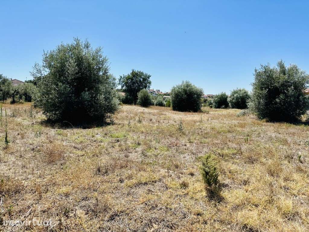 Terreno - Grande imagem: 4/7