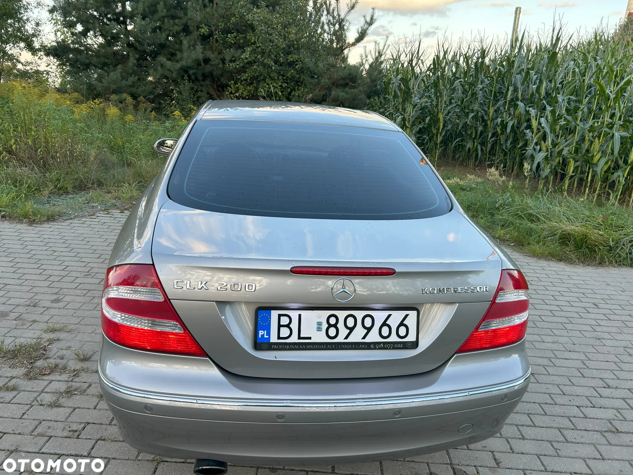 Mercedes-Benz CLK - 10