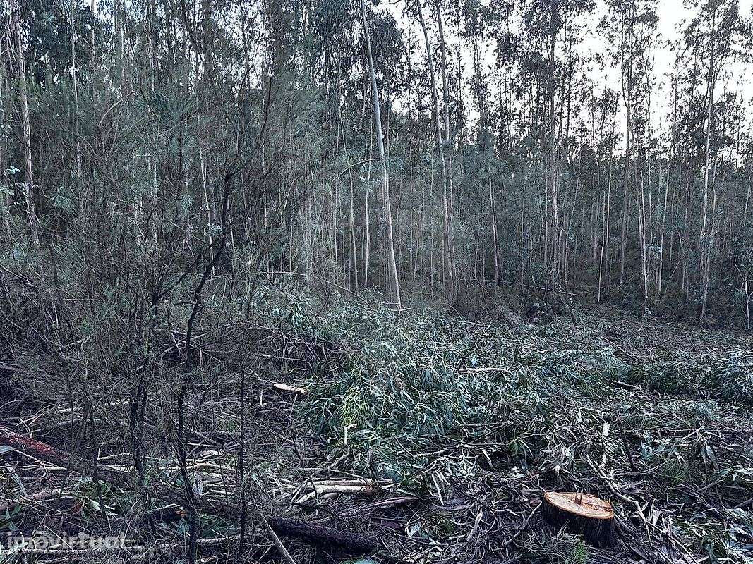 Terreno  para venda - Grande imagem: 3/24