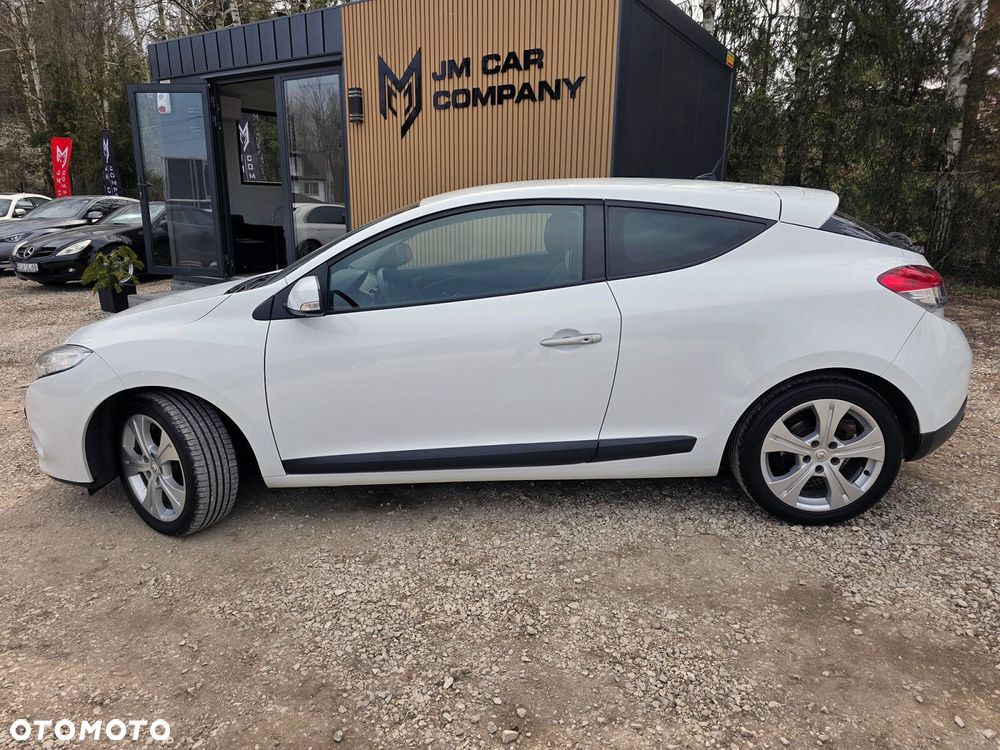 Renault Megane - 19