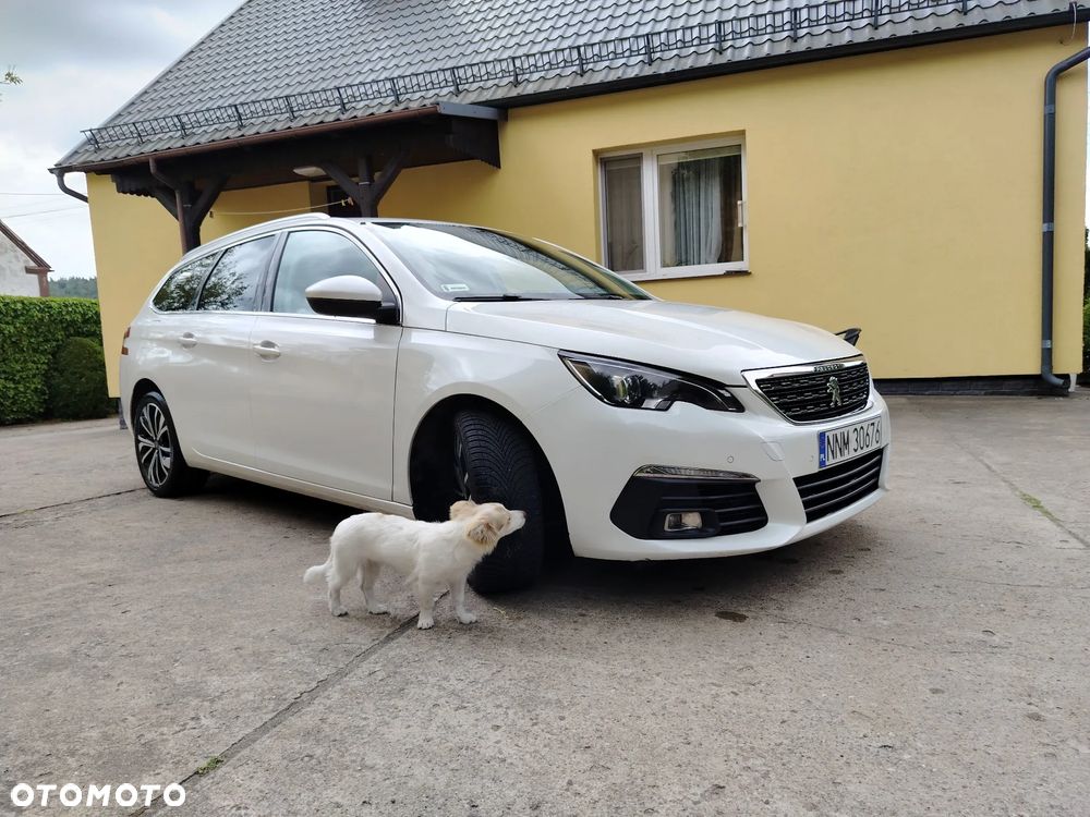 Peugeot 308 1.5 BlueHDi Allure S&S EAT8 - 7