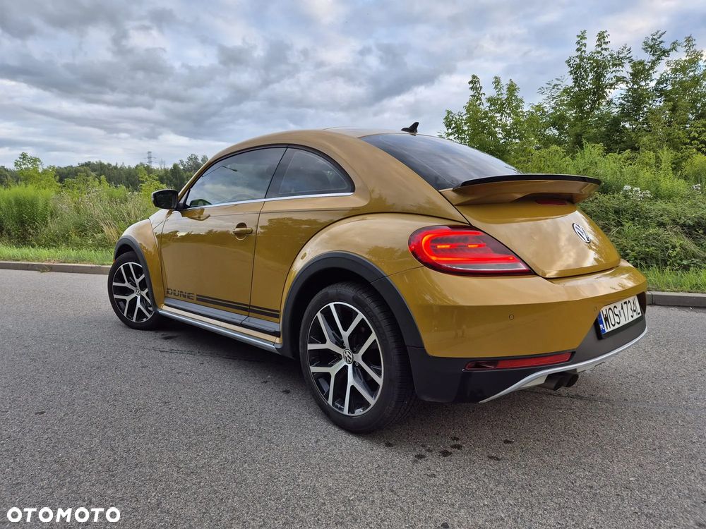 Volkswagen Beetle - 9