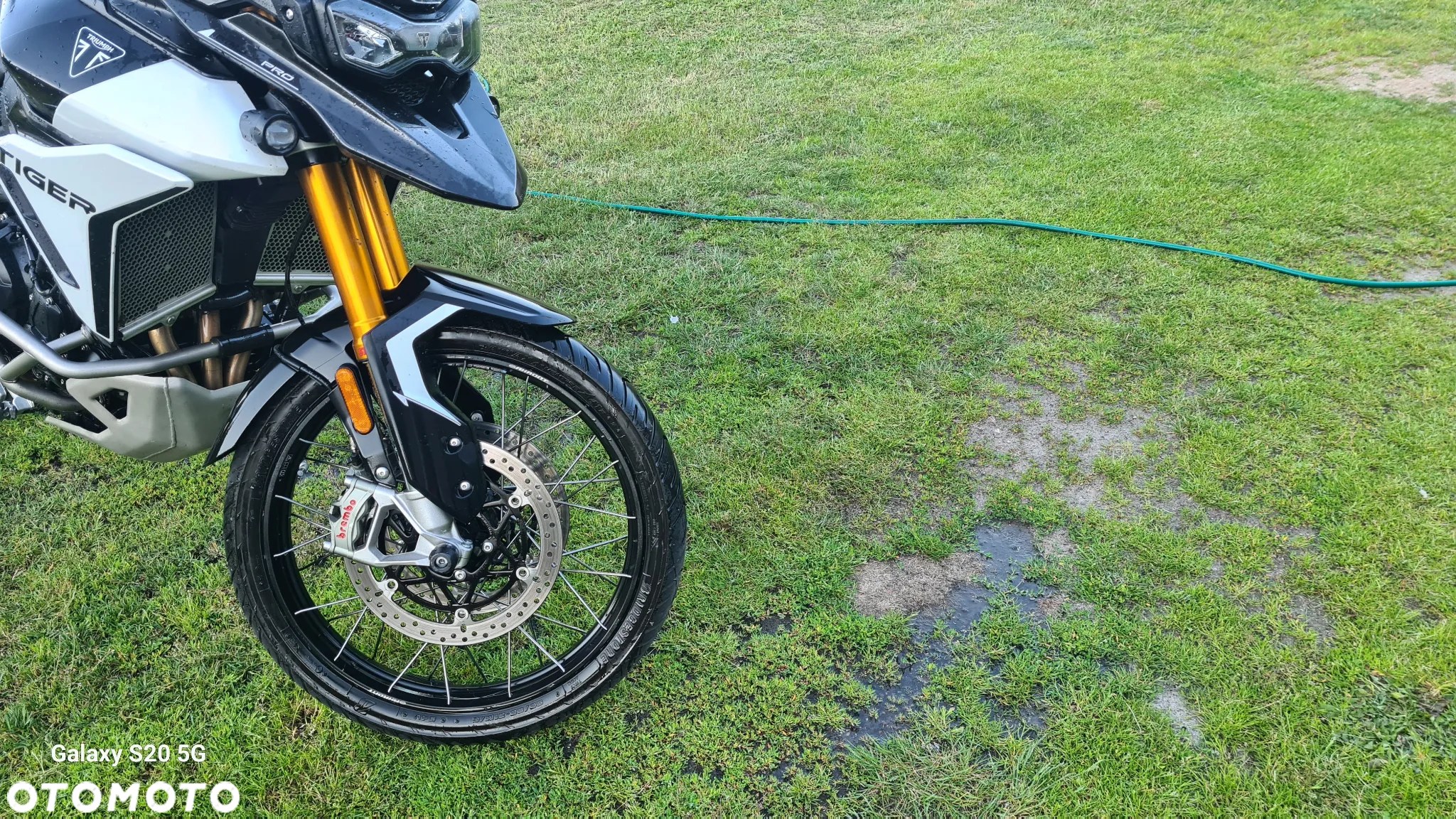 Triumph Tiger - 2