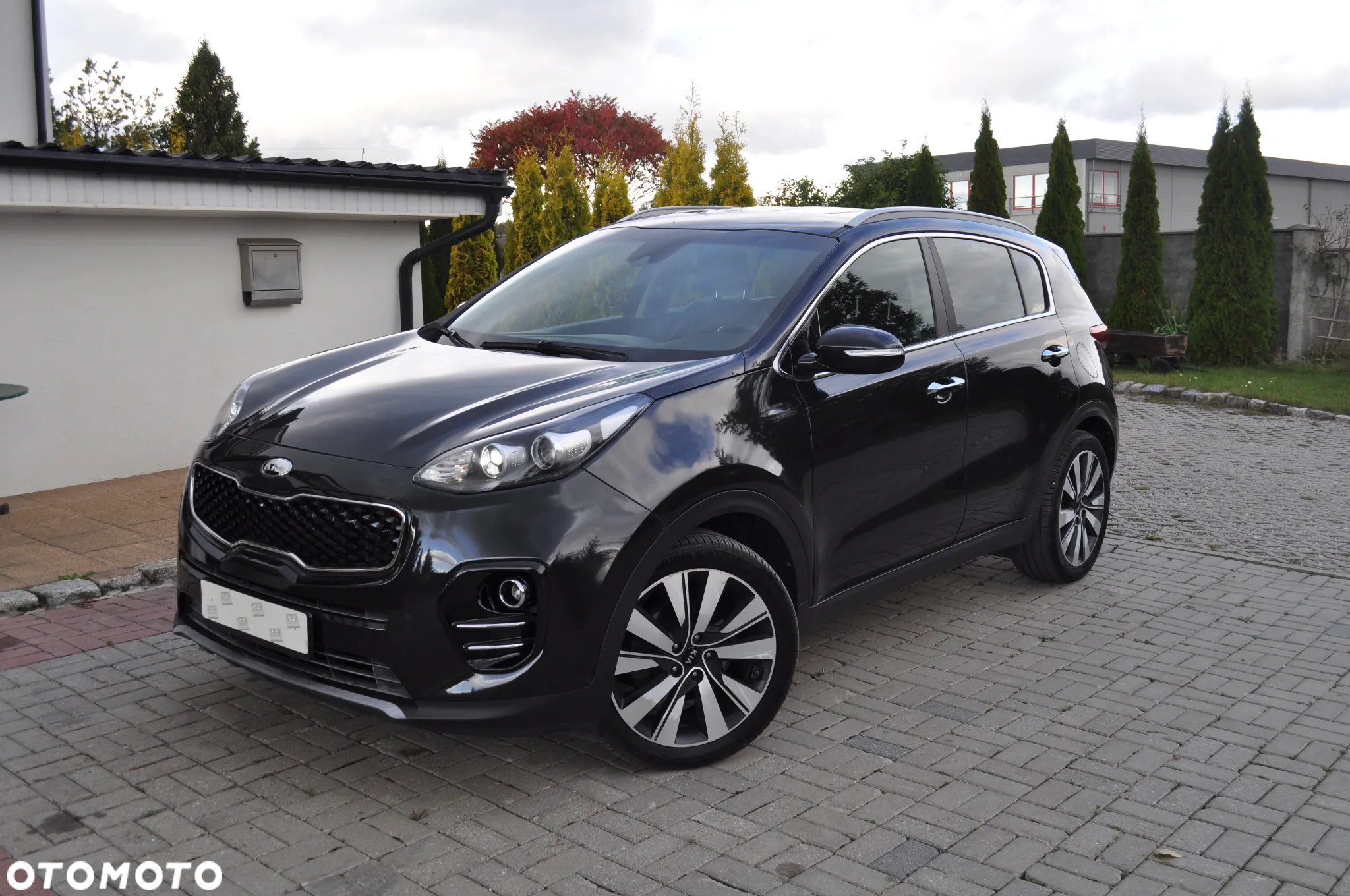 Kia Sportage 1.6 CRDI AWD Eco-Dynamics+ (48V M-H) DCT Black Edition - 4