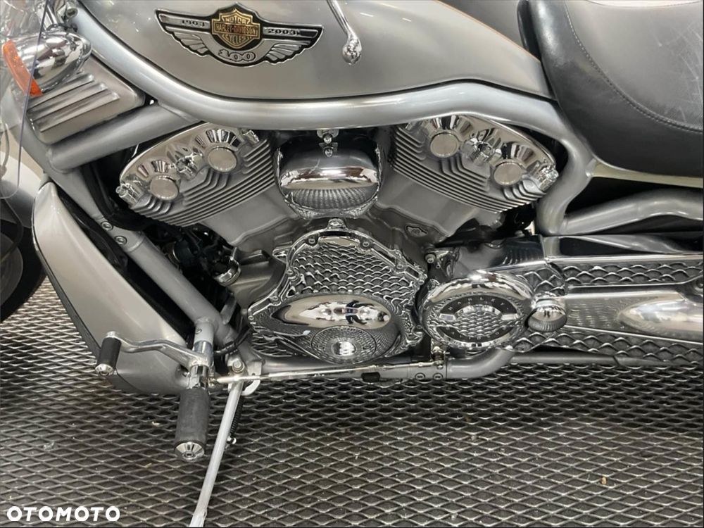 Harley-Davidson Softail V-Rod - 7