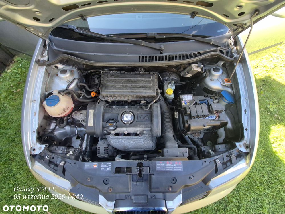 Seat Ibiza - 6