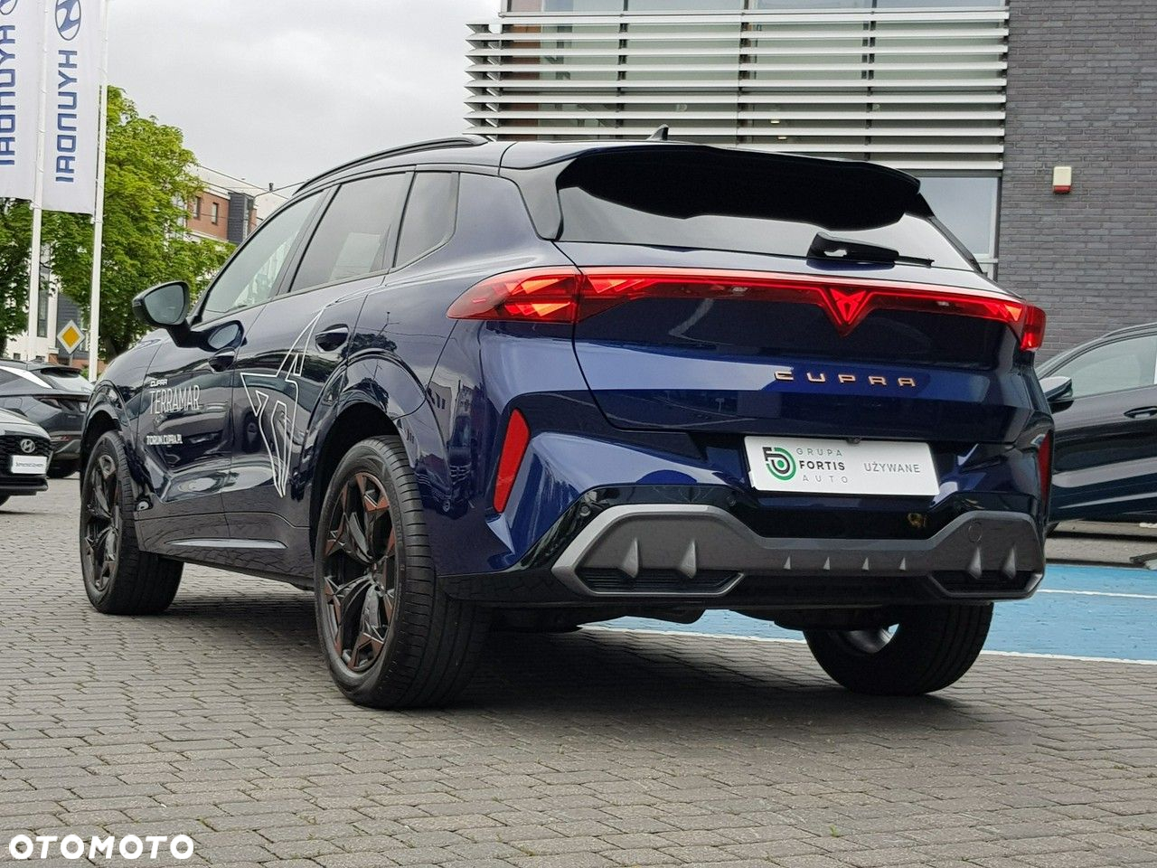 Cupra Terramar - 5