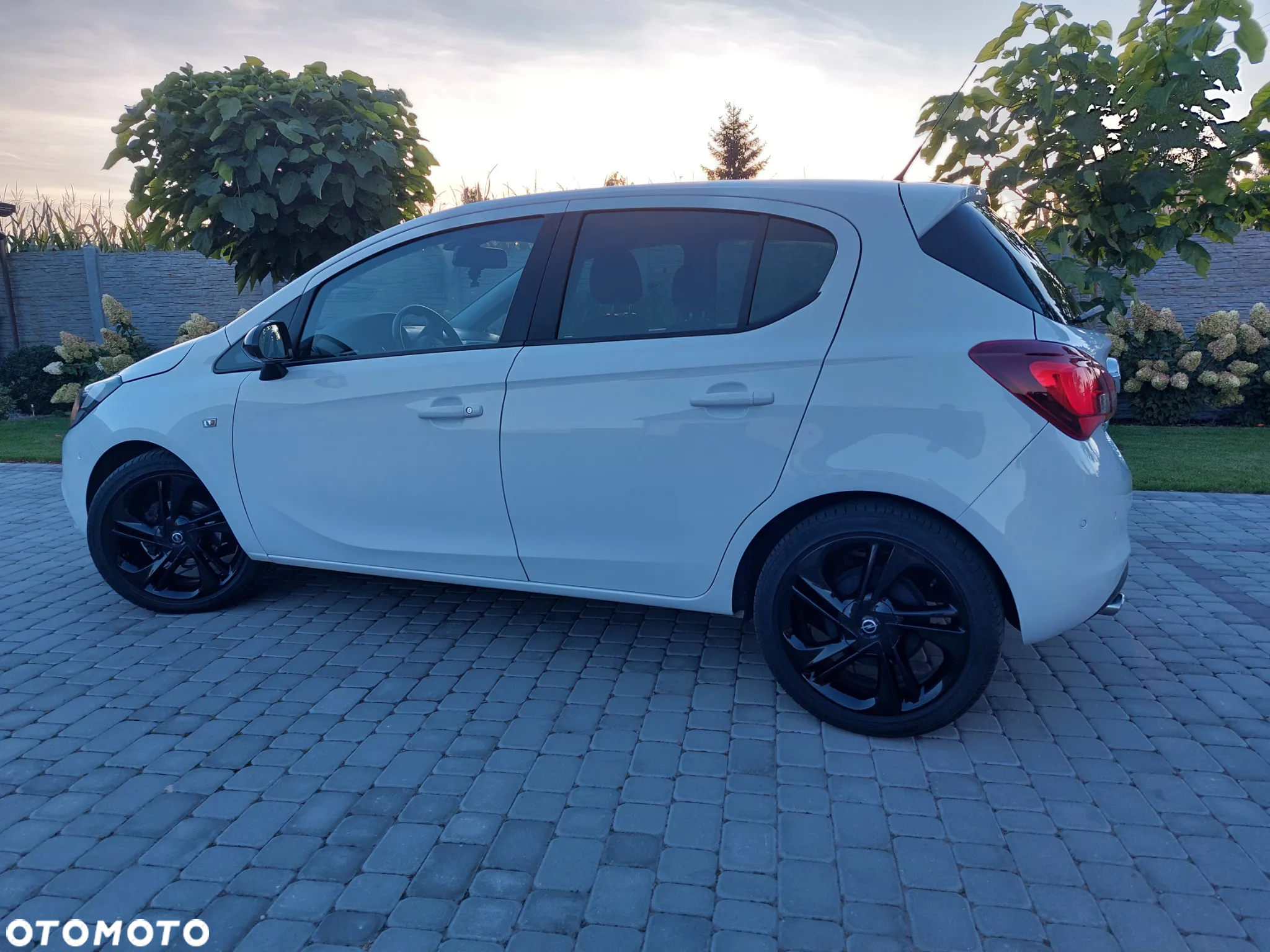Opel Corsa 1.4 Color Edition S&S - 3