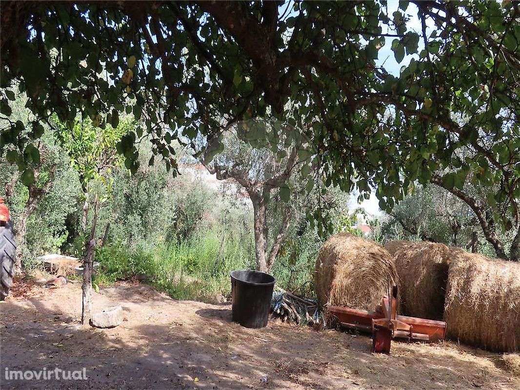 Quinta  para venda - Grande imagem: 5/30