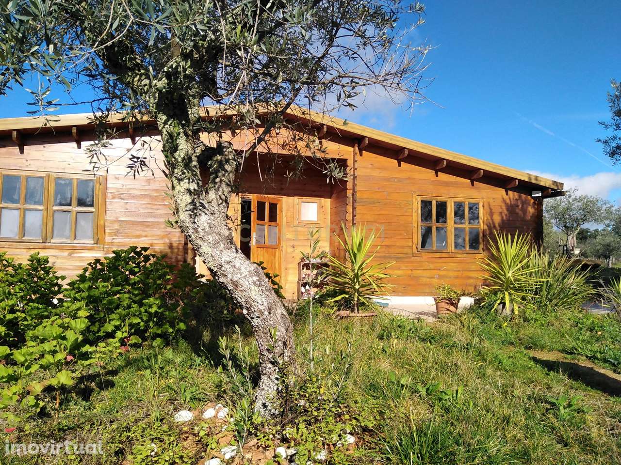 Quinta Com Piscina e Casa Madeira, Lousa, Castelo Branco - Grande imagem: 2/43
