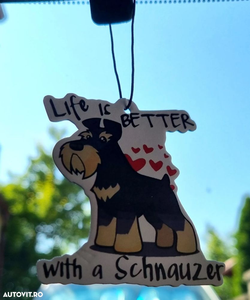 Dacia Spring 26.8 kWh Extreme - 13