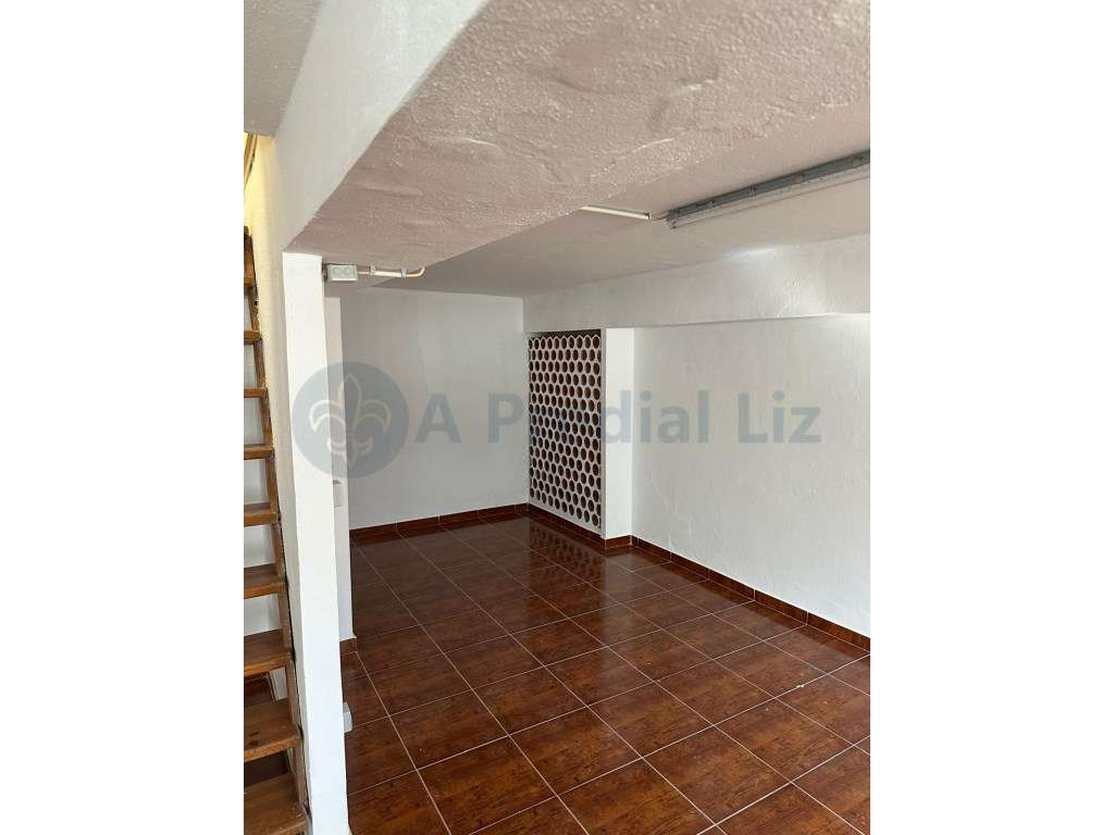 T2 + 2 em Belém - Grande imagem: 3/6