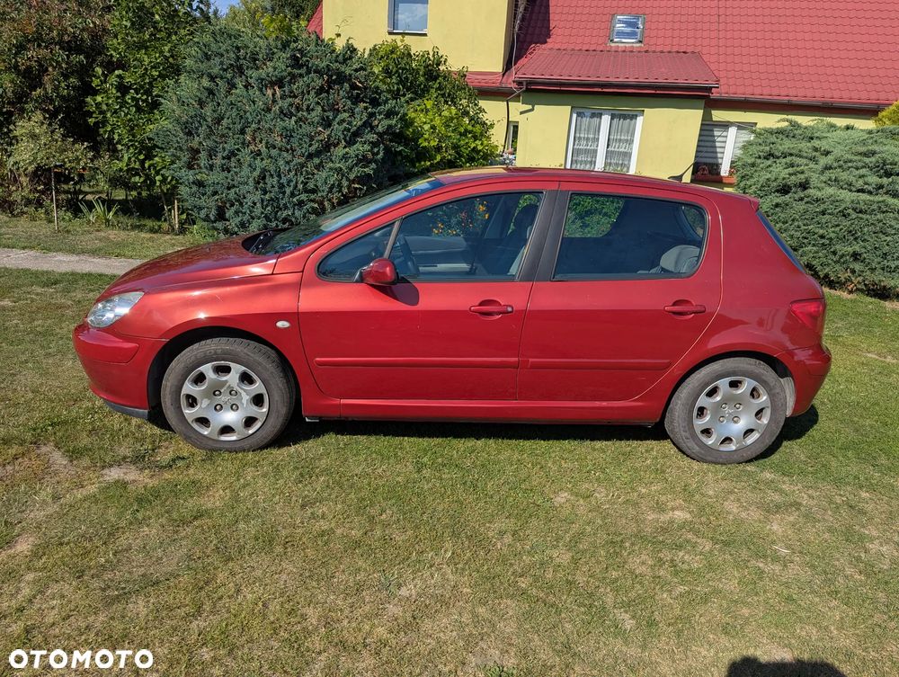 Peugeot 307 1.6 - 5