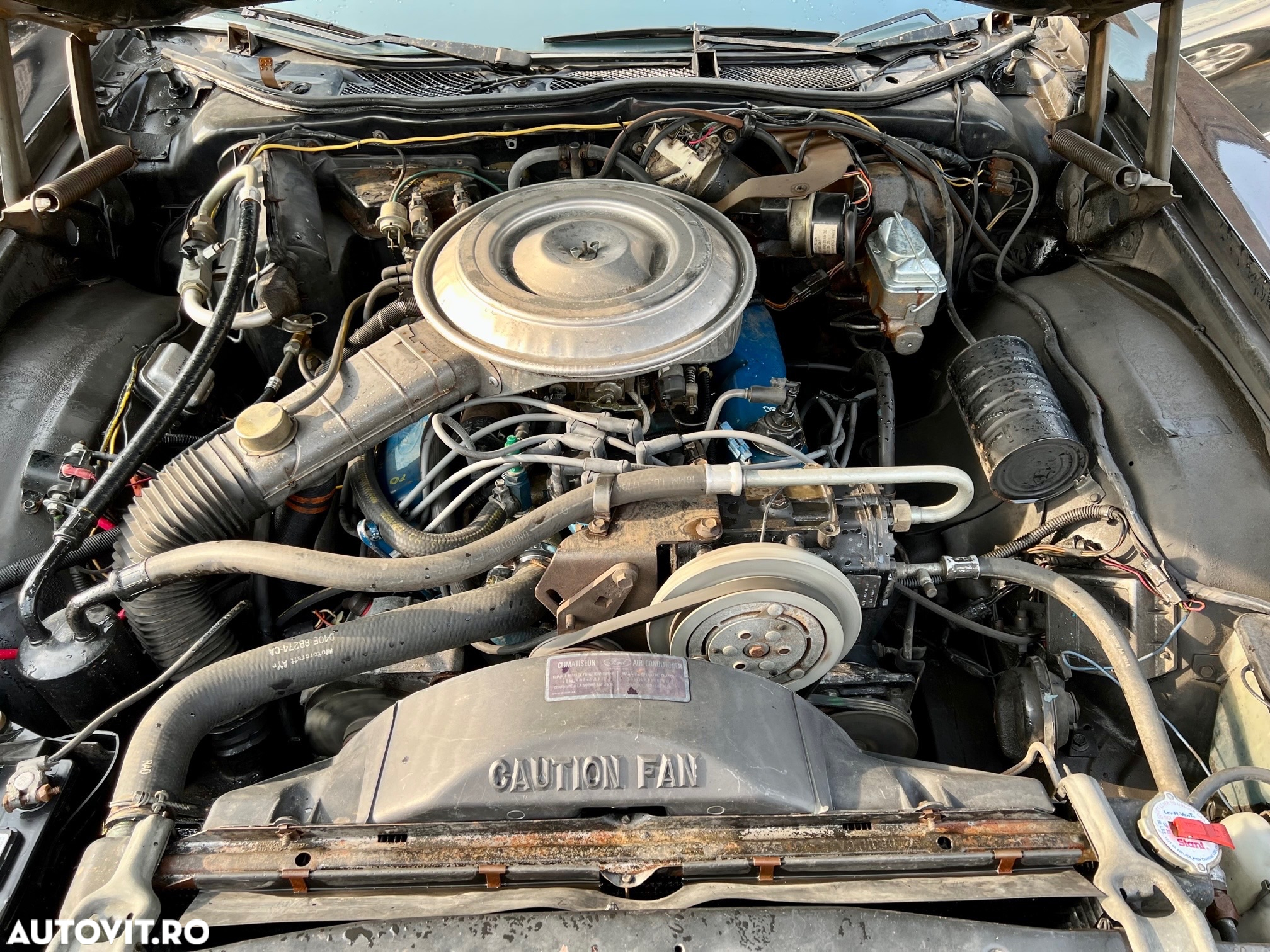 Mercury Cougar - 19