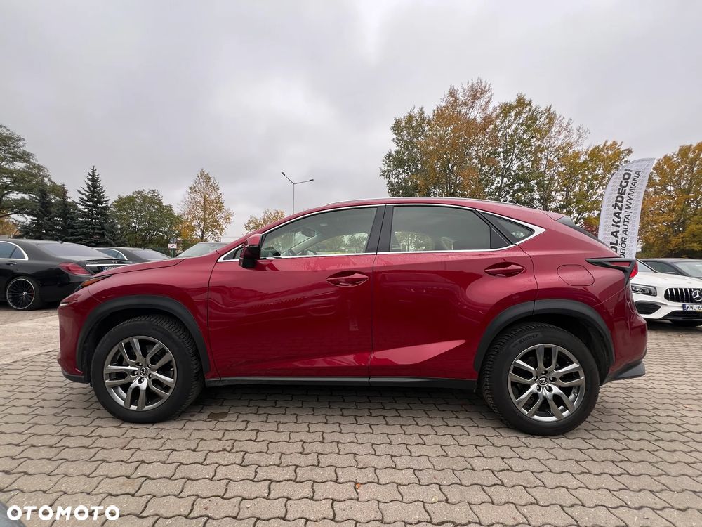 Lexus NX - 5