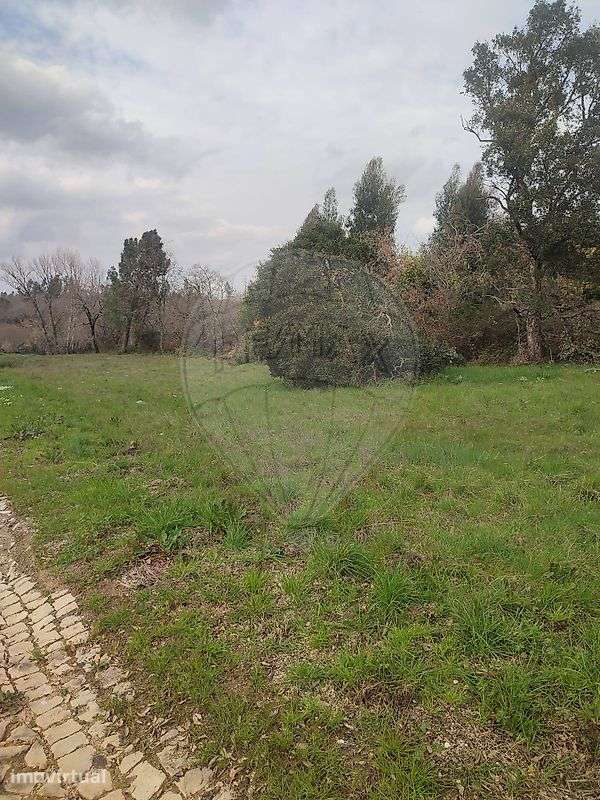 Terreno  para venda - Grande imagem: 2/6