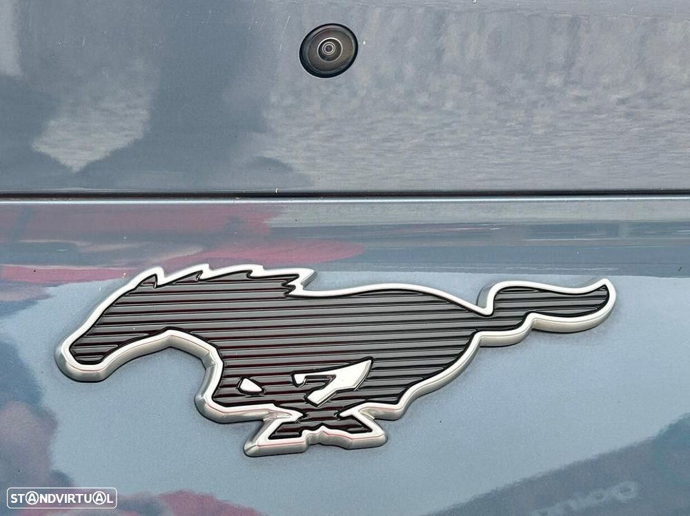 Ford Mustang Mach-E Standard - 19