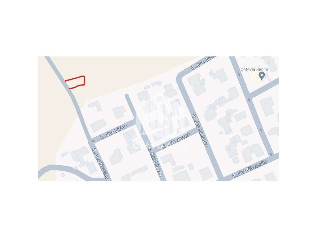 Terreno Carrasqueira - Grande imagem: 2/13