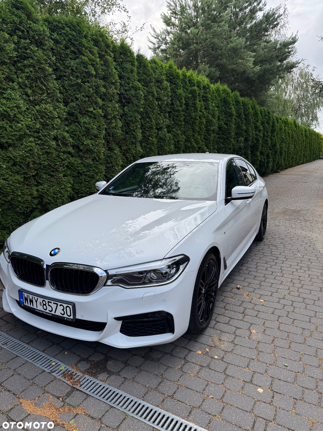 BMW Seria 5 520d xDrive - 12