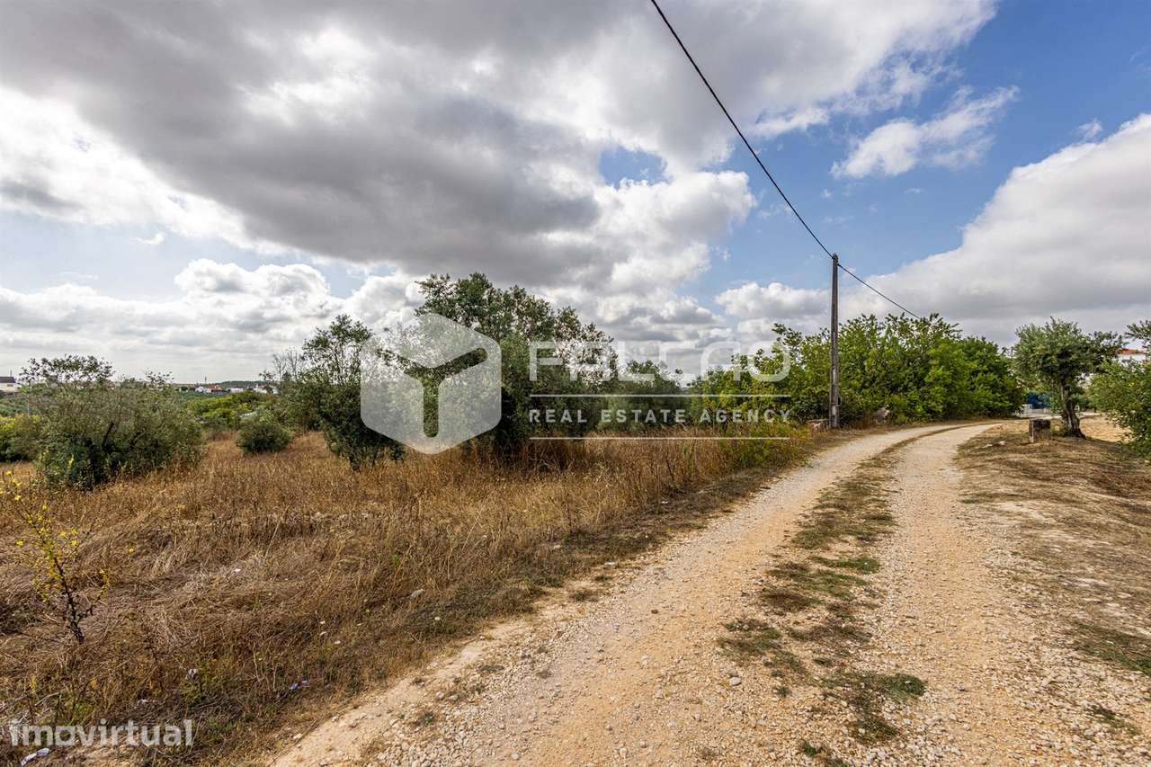 Terreno Misto  Venda em Abitureiras,Santarém - Grande imagem: 3/27